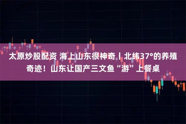 太原炒股配资 海上山东很神奇丨北纬37°的养殖奇迹！山东让国产三文鱼“游”上餐桌