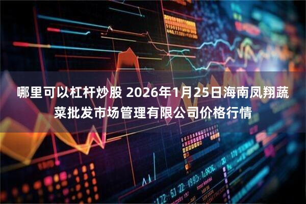 哪里可以杠杆炒股 2026年1月25日海南凤翔蔬菜批发市场管理有限公司价格行情