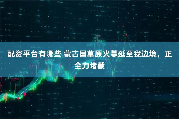 配资平台有哪些 蒙古国草原火蔓延至我边境，正全力堵截